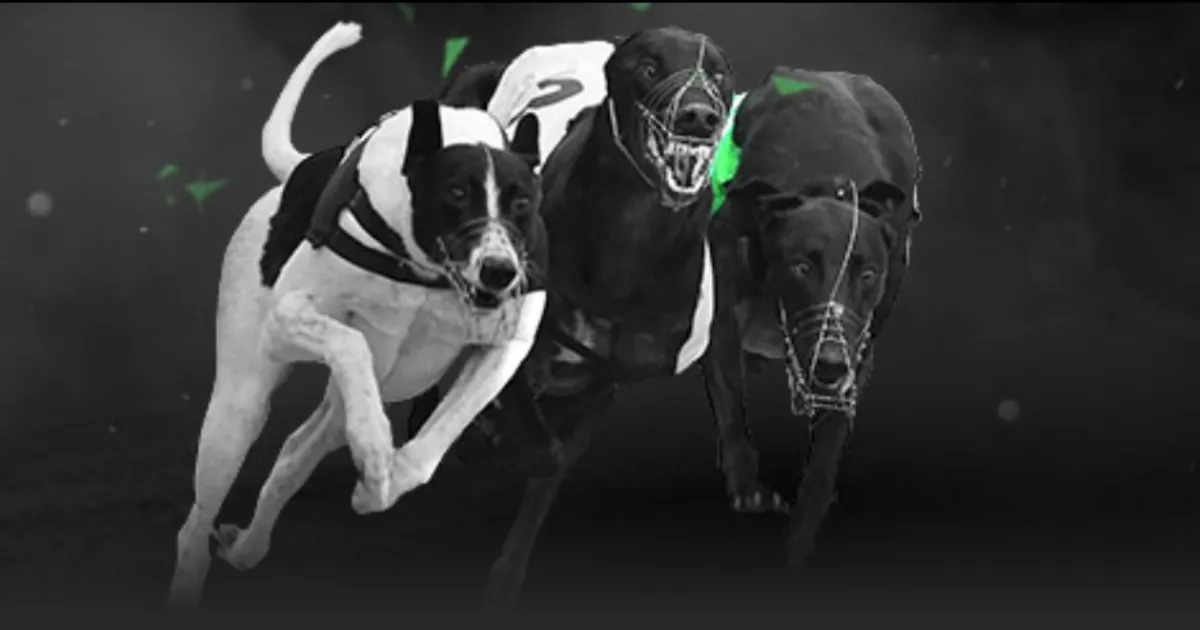 中国花滑,女单短节目,赛场现三位,新葡京,新葡京app,新葡京娱乐,新普京赌场