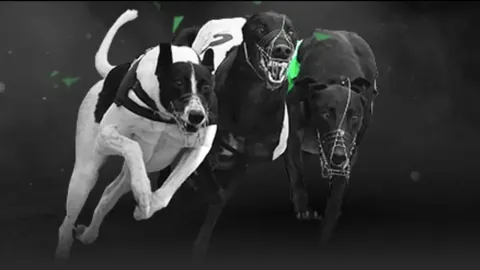 [中国花滑]女单短节目赛场现三位中国选手风采]